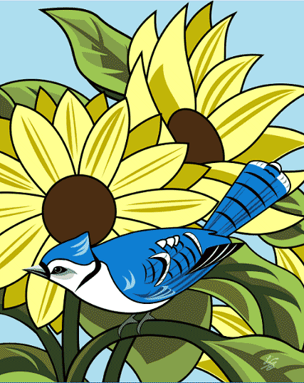 Blue Jay and Sunflowers