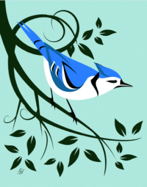 Blue Jay Bird Art For Licensing
