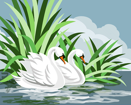 Mute White Swan Pair