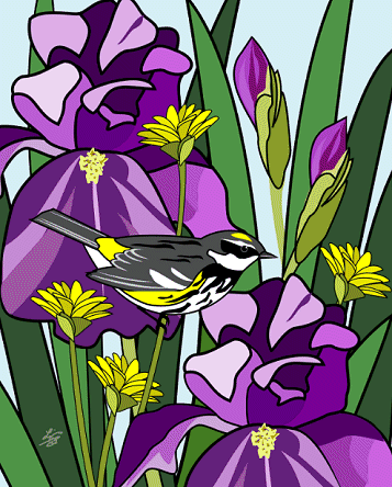 Warbler and Iris